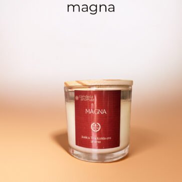 Kit Magna – Curadoria Olfativa de Alto Padrão para Escritórios de Advocacia