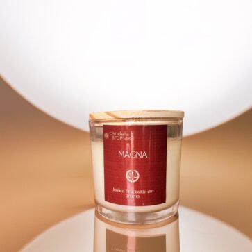 Kit Magna – Curadoria Olfativa de Alto Padrão para Escritórios de Advocacia